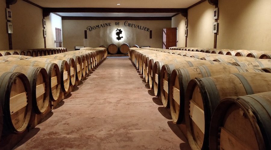 Le vignoble & le terroir